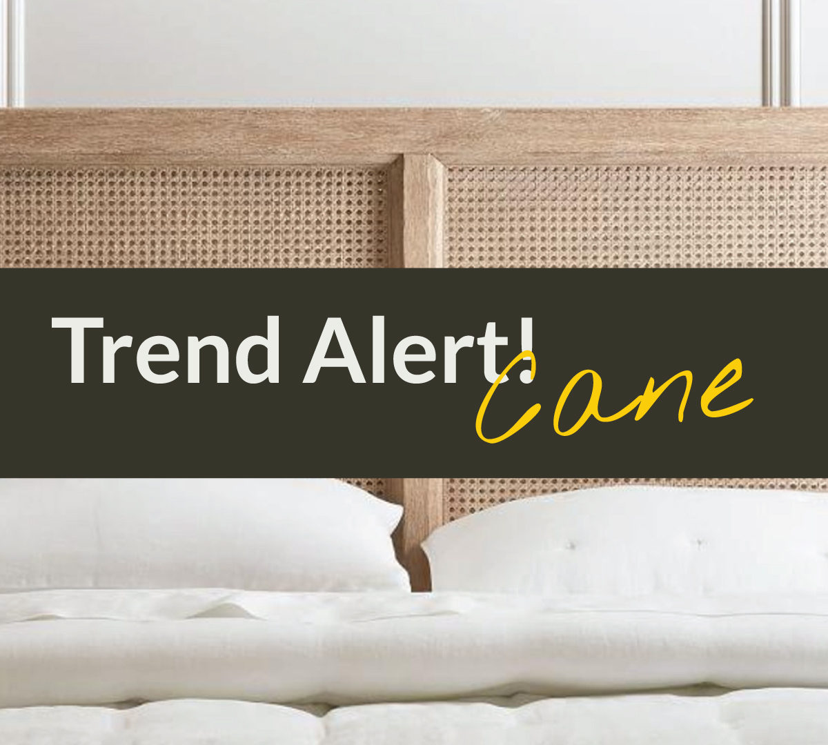 Trend Alert: Cane, a classic that never dies!