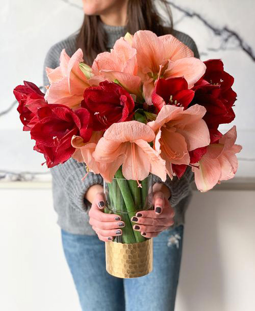 Tonic Blooms Peppermint Puff Amaryllis (28 blooms, vase incl.)